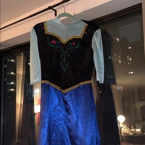 Adult size Princess Anna costume